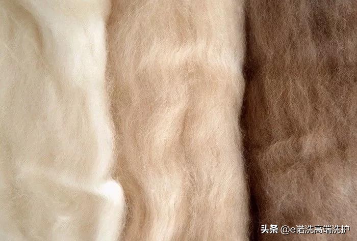 100支高支羊毛和羊绒的区别,克什米尔羊毛跟羊绒的区别