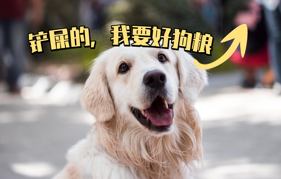 老人养狗的好处与坏处,养狗的好处和坏处