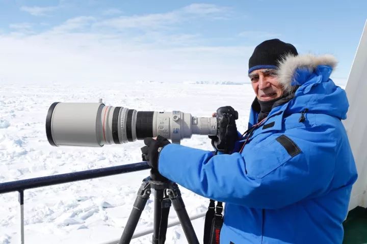 73岁老人被狼追杀,人类被鲨鱼猎杀的惊恐瞬间