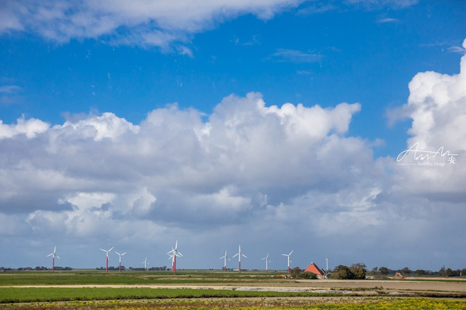 你来荷兰不可不打卡的梵高足迹地,荷兰梵高观光地点