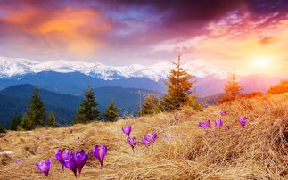 不花钱不请人，你的表达一样能提高，让你当众发言张口就来