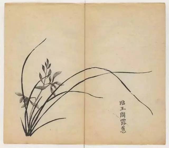 毛笔怎么画兰草,怎么画兰花和书法