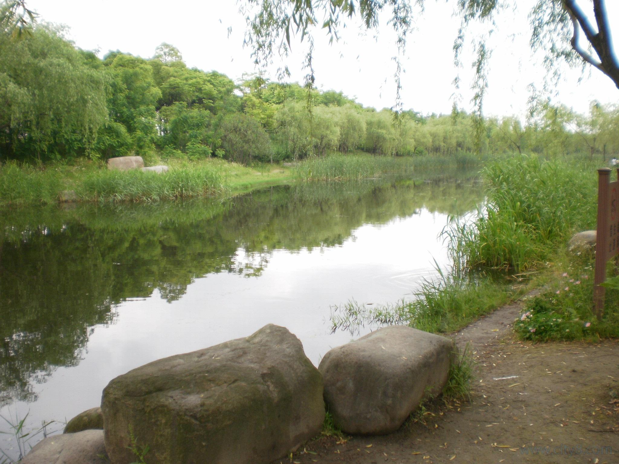 尘封往事新河,尘封往事不堪回首