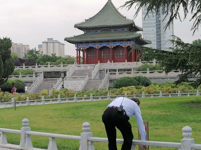 兴庆公园，你依旧是那个环境清幽、颜值在线的美丽园林