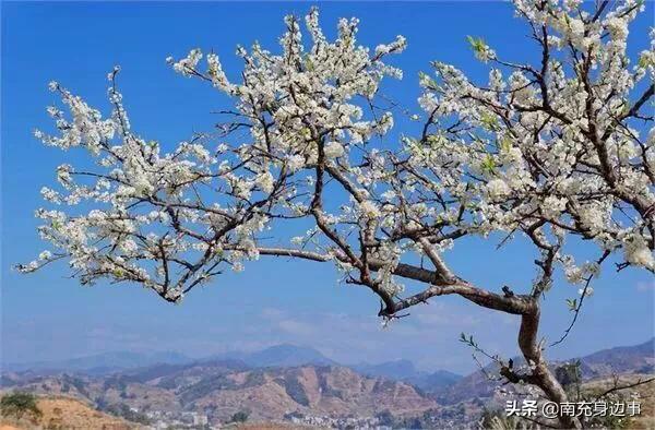 南充著名小镇,南充最美小镇