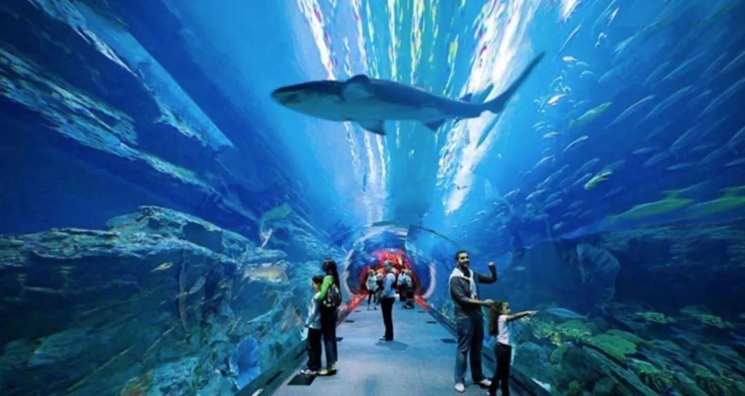 十个小时玩转迪拜,玩转迪拜与阿布扎比