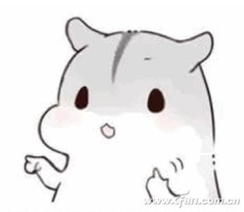 秒懂配置要求爽玩最爱的游戏