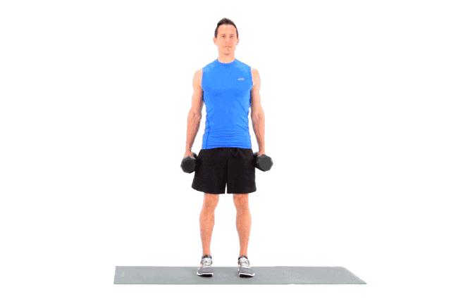 如何快速练大手臂肌肉,如何练手臂肌肉才能有力