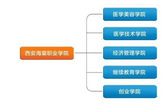 至美海棠最美好的年华遇见你