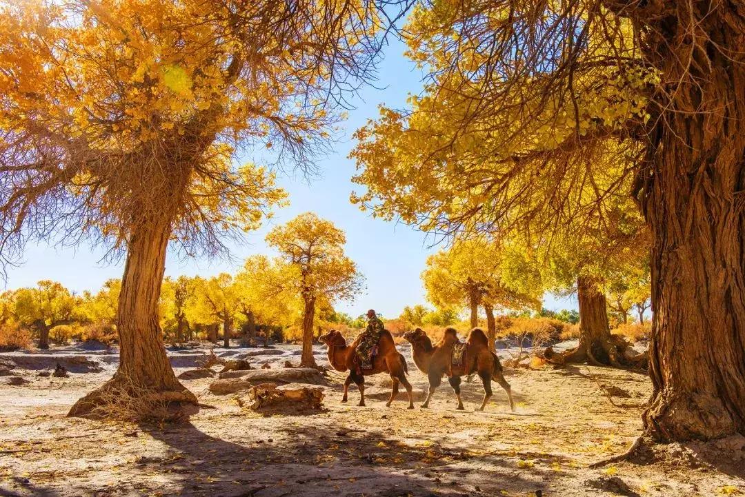 2019必去的旅行地,8月最新旅行地推荐