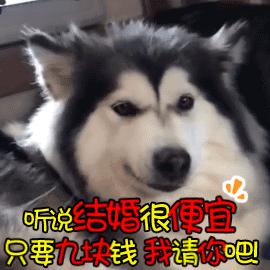 27岁被催婚相亲，焦虑沮丧不甘心，该怎样调整情绪，笑对人生？