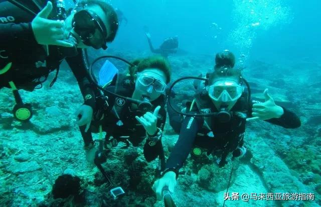 建议在哪里拿潜水证,如何免费学习潜水证