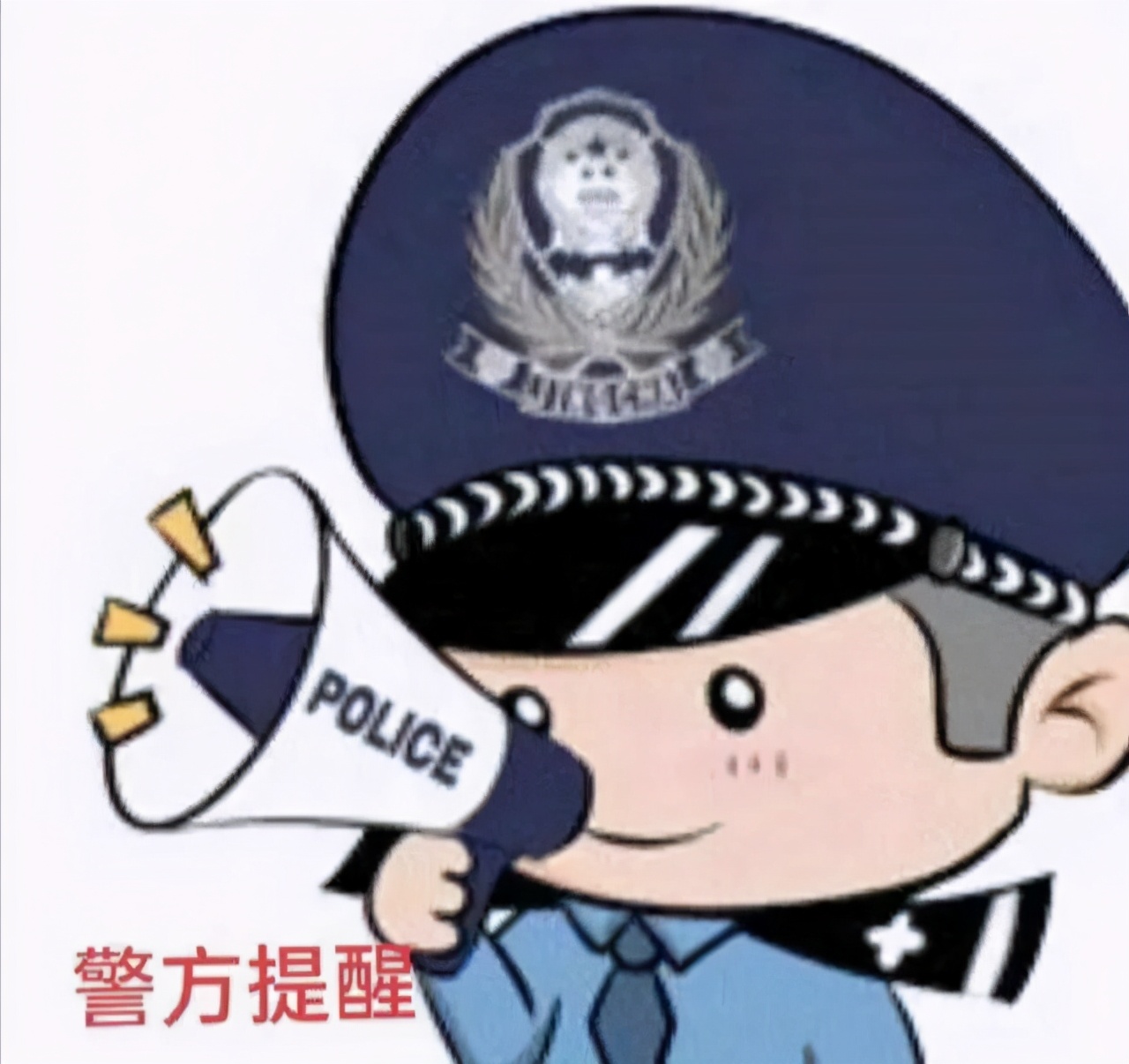 摇钱树诈骗案件,南昌被抓的网络诈骗案