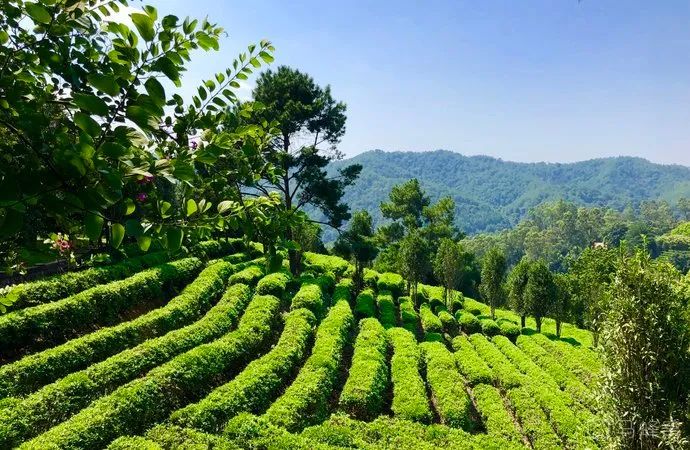 多少天能玩遍广东5a景区,广东5a旅游景点大全推荐图