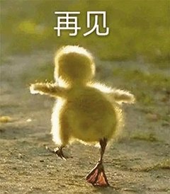 什么样的洗面奶平价好用,值得回购的平价和贵妇洗面奶