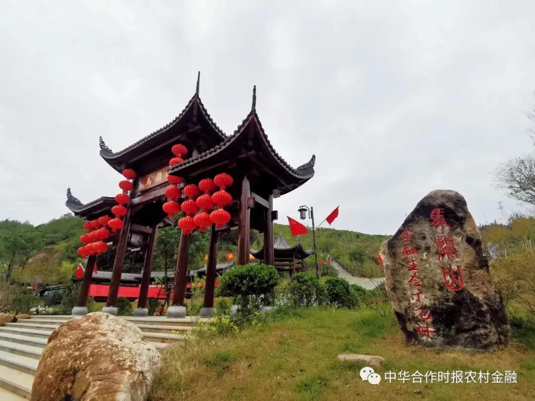 农村普惠金融的实践与思考,福建农信乡村振兴十大行动