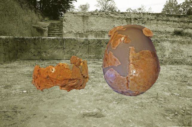 突如其来是什么原因引起的,突如其来的脱发