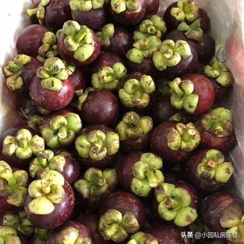 山竹里面的黄色东西是什么能吃吗,山竹里边有黄色的东西能不能吃