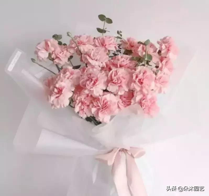 母亲节花束康乃馨用什么样的,母亲节花束红色康乃馨款式图片