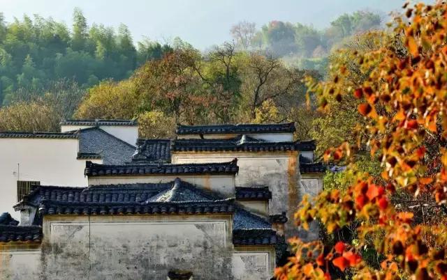 六月我们一起去旅行,九月带你去旅行