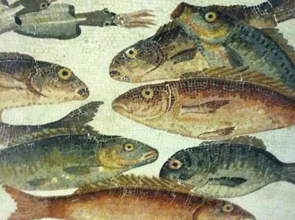 海王星运转周期,海王星的运转周期