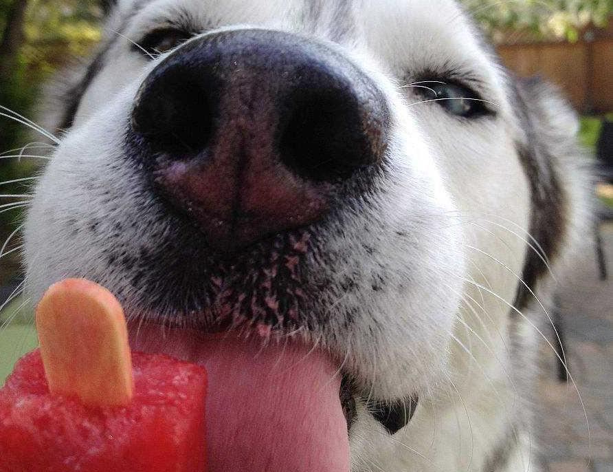 教男生追女生的正确方法,男生必看追女生的一招必杀技