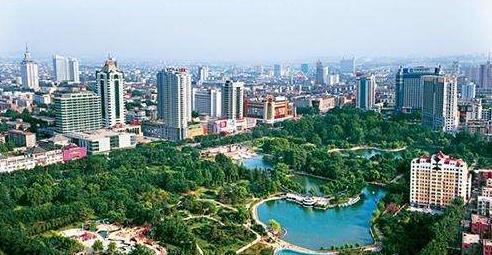 速看！山东省各地级市的车管所7月号牌第一更，有的号牌真给力