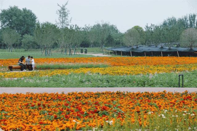 西安公园开放通知最新,西安附近公园免费景点