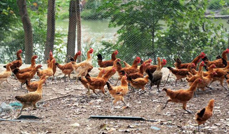 创业女性80后,浙江80后女人创业案例