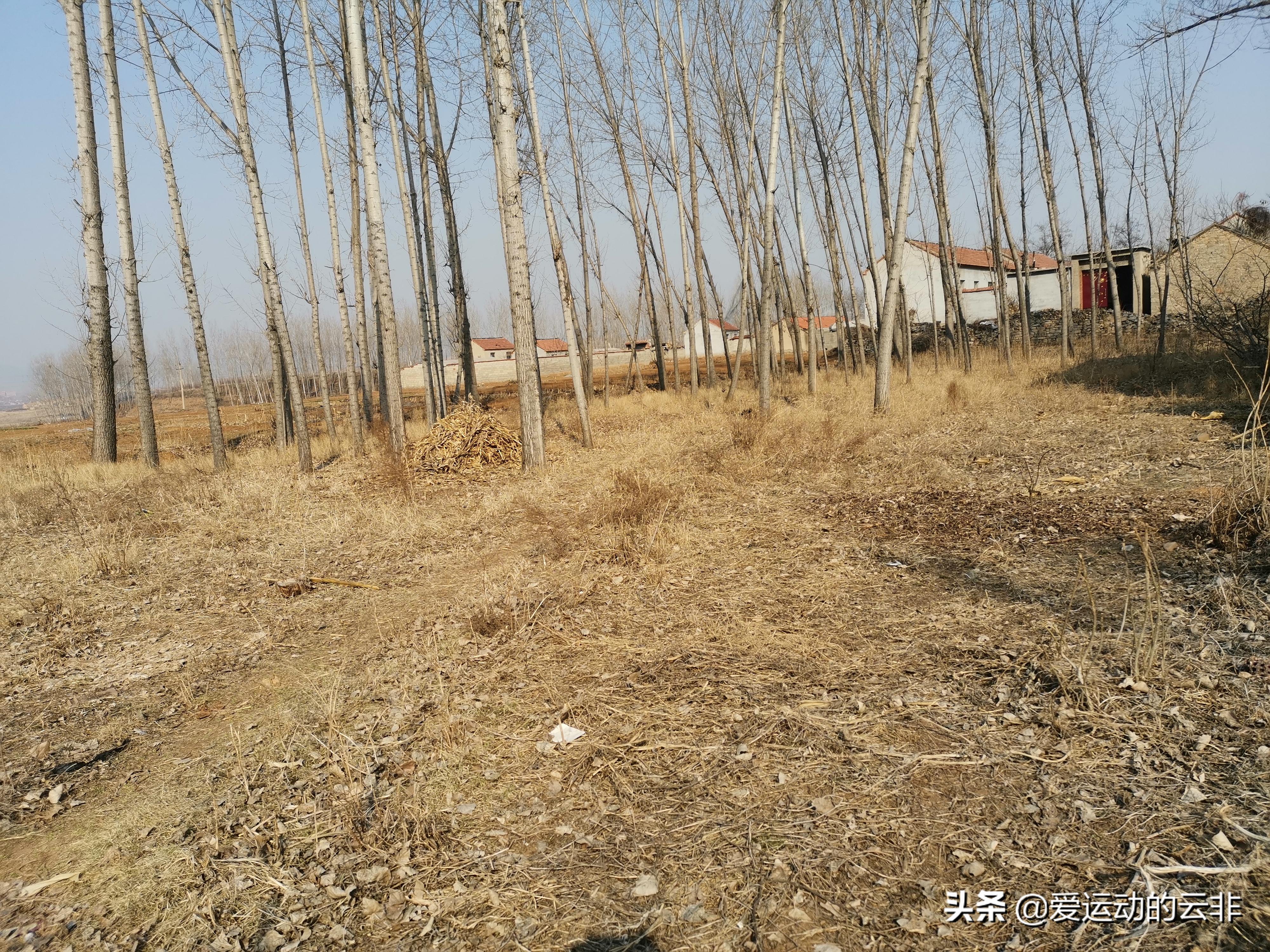 小学球场回忆,足球野球场回忆