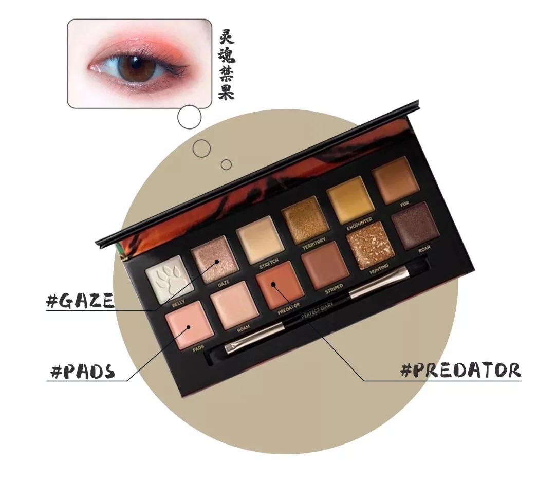 良心国货眼影盘打造东方之美,眼影盘推荐国家