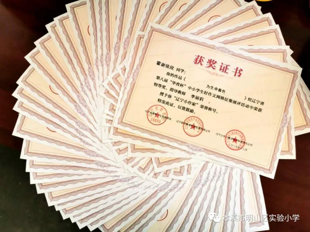 本溪明山区实验小学,本溪市明山实验小学