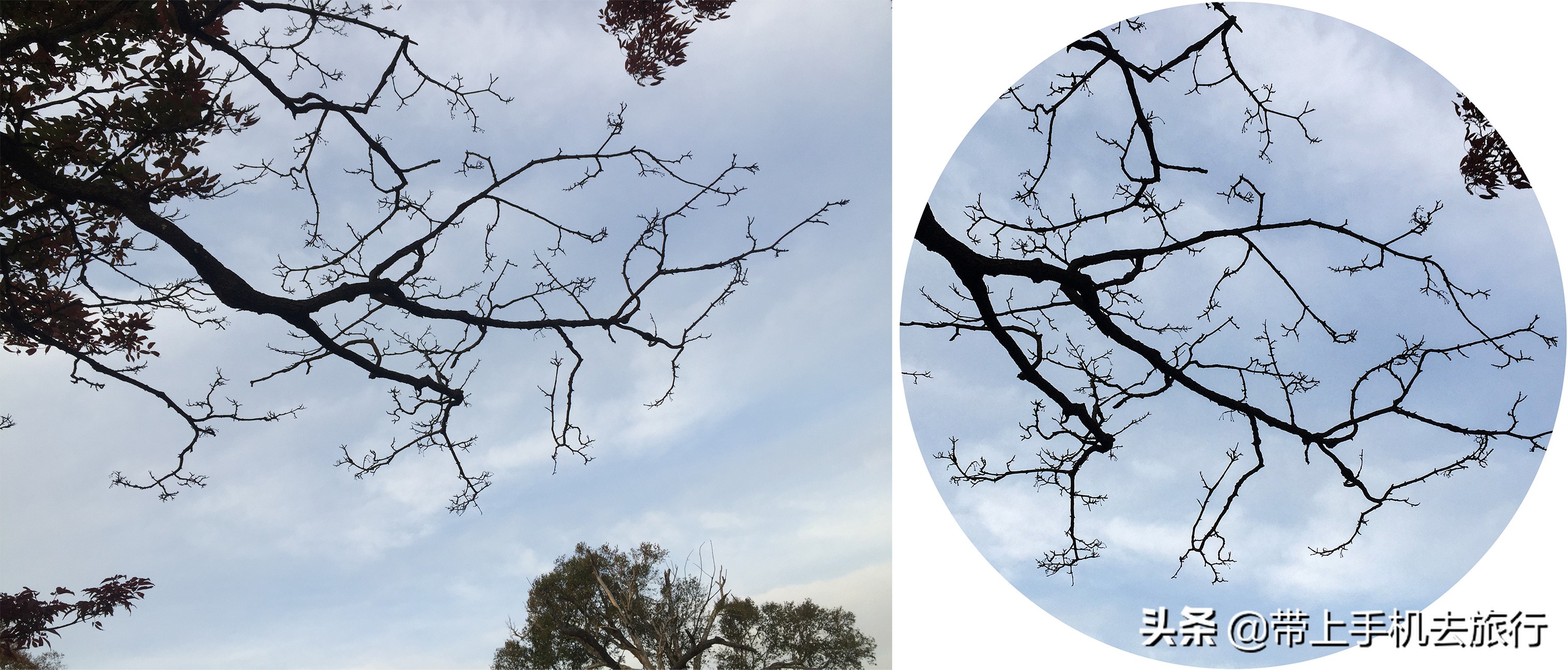 手机拍什么画面好看又清晰,如何让手机拍摄出的画面更够质感