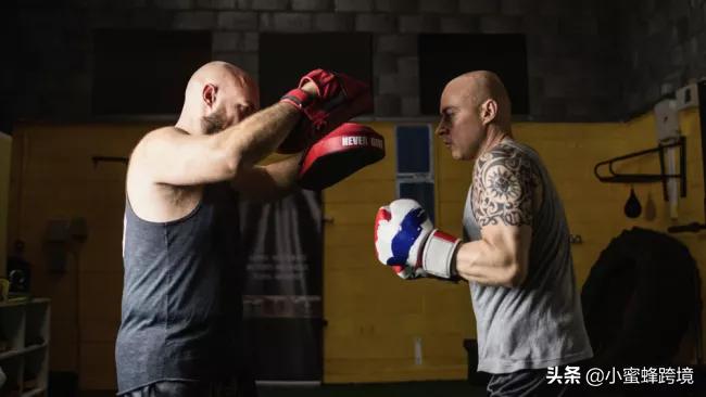 最快最全的免费图库,免费图库2018年下载