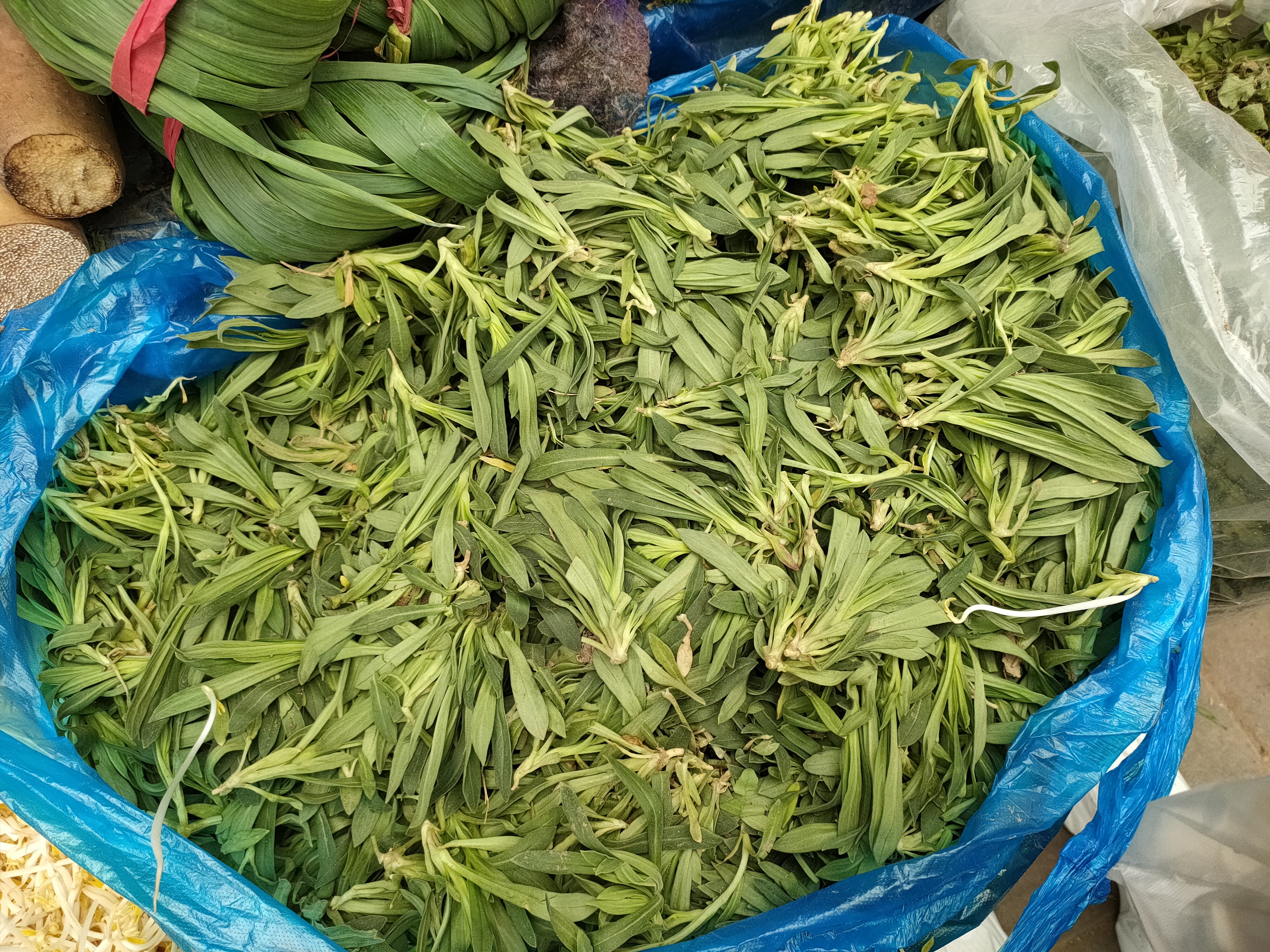 春天吃这几种野菜比吃啥补药都好,春天超嫩野菜做出来的米果香喷喷