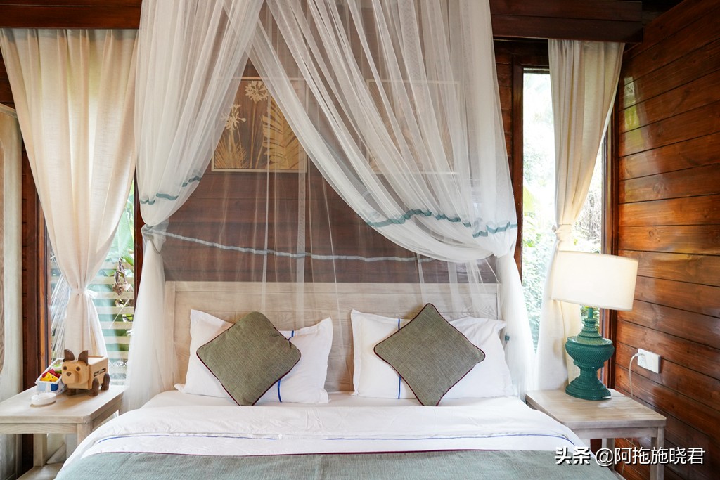 漫步其中尽享清新惬意,漫步海边椰林