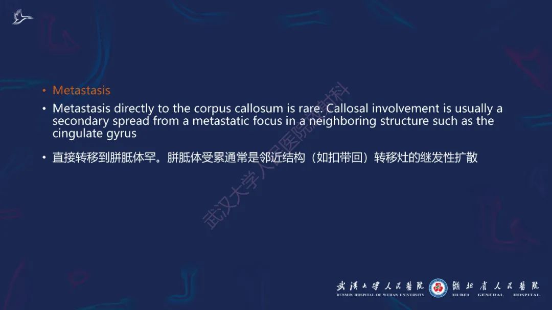 胼胝体肿瘤影像鉴别,胼胝体病变影像诊断