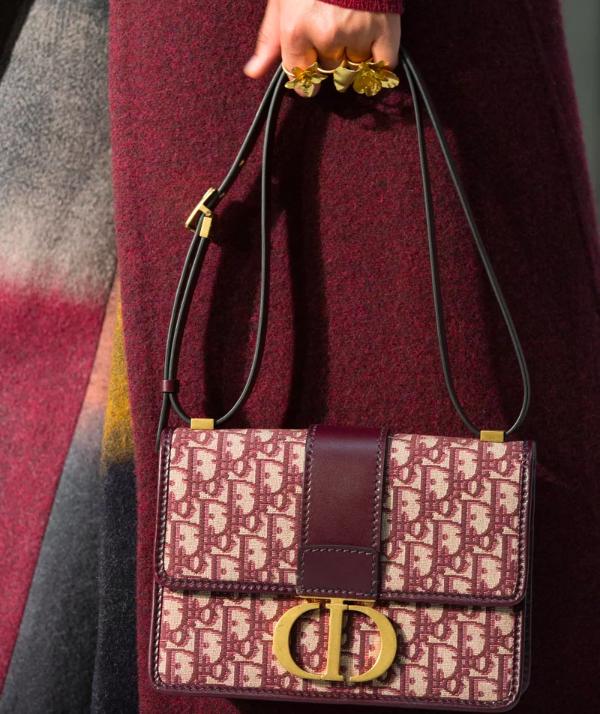 是谁动了我的奶酪,是谁动了猫咪的奶酪