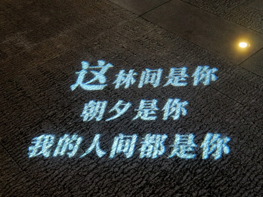 宁波东钱湖网红老街,宁波人的后花园东钱湖