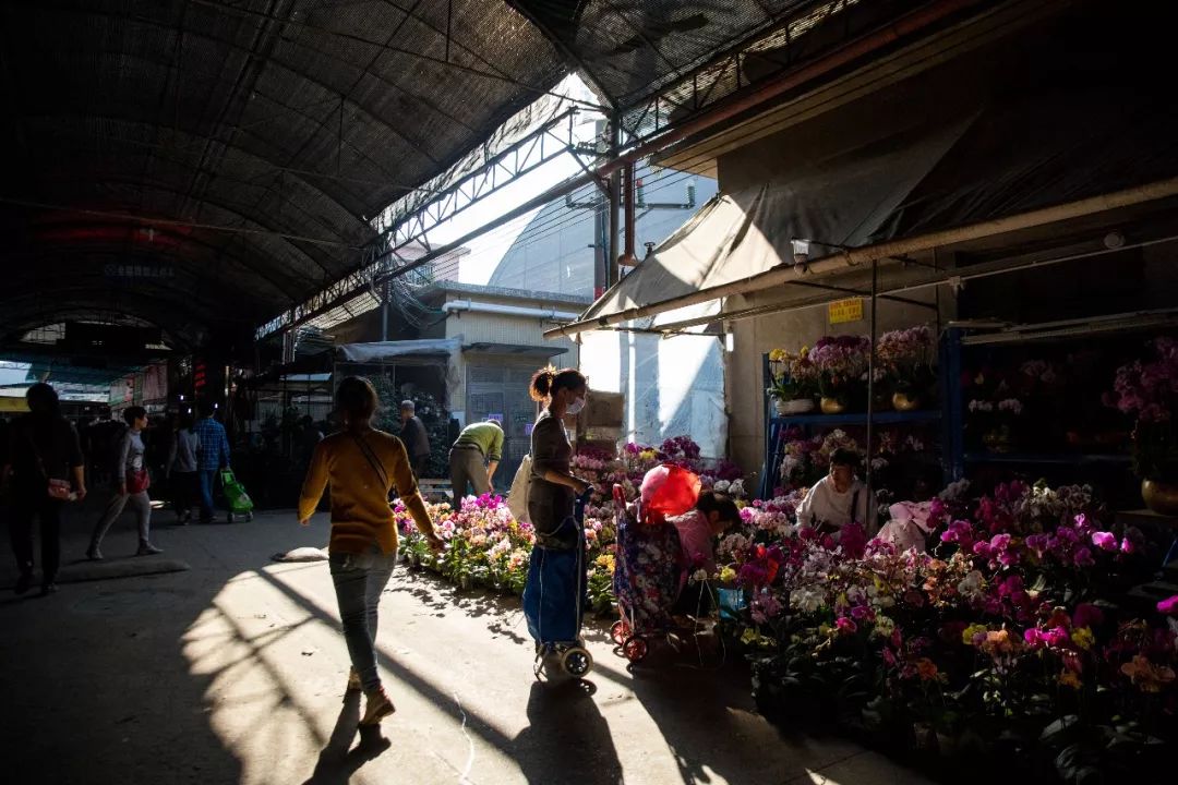 广州最大的花卉市场有哪些店,广州最便宜的花卉交易市场