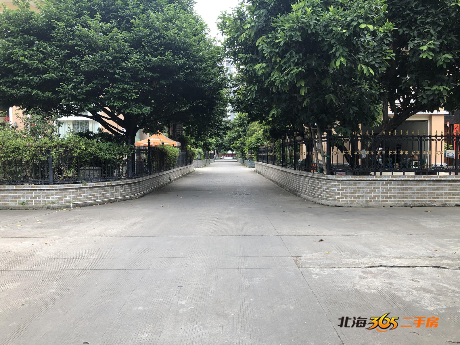 北海嘉逸花园有肺炎病例,北海市嘉逸花园最新消息