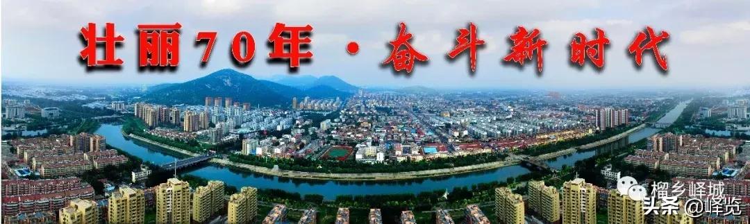 枣庄市党政考察团杭州行,临沂市考察团到济宁