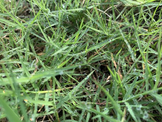 离婚一审财产分割不服可以上诉吗,离婚财产判决不服怎么处理