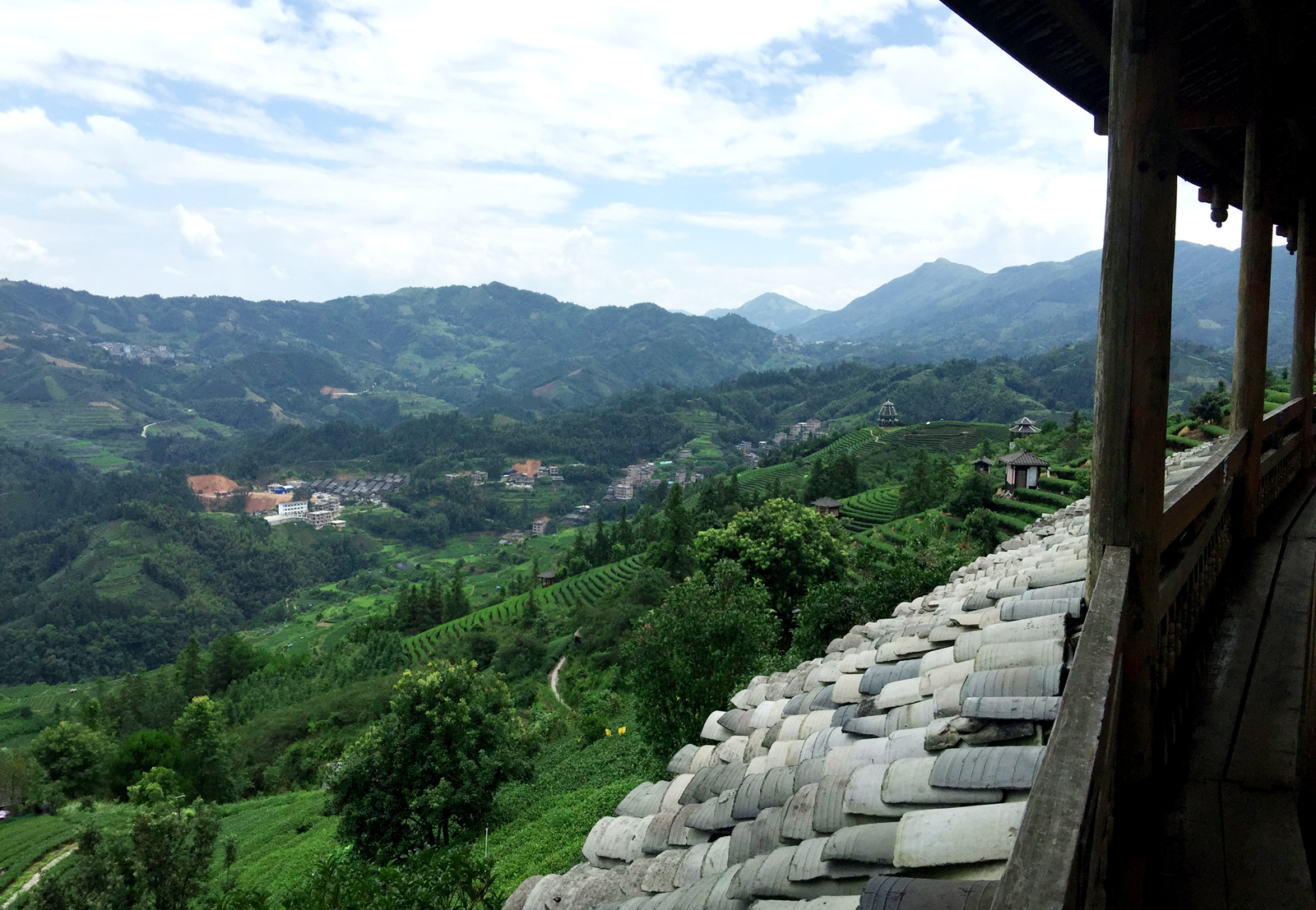 自炒茶叶纯天然,云南茶传统柴火手工炒茶