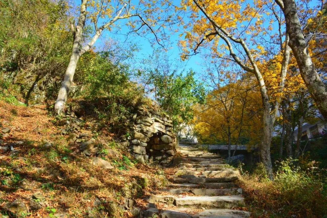 秋天的杭州自驾游,杭州秋冬自驾