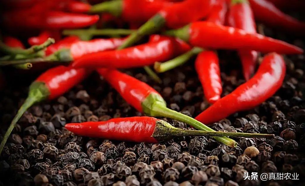 云南地区叶菜行情稳中有涨,近期蔬菜叶菜价格上涨原因