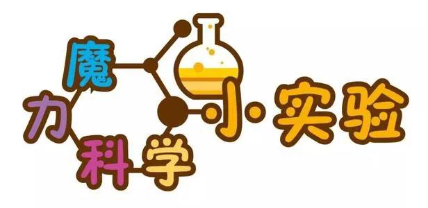 安定明德小学寒假实践活动记录表,红旗小学寒假实践活动记录表