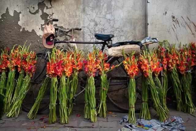 亚洲最大花市宛如仙境,中国最牛的花市