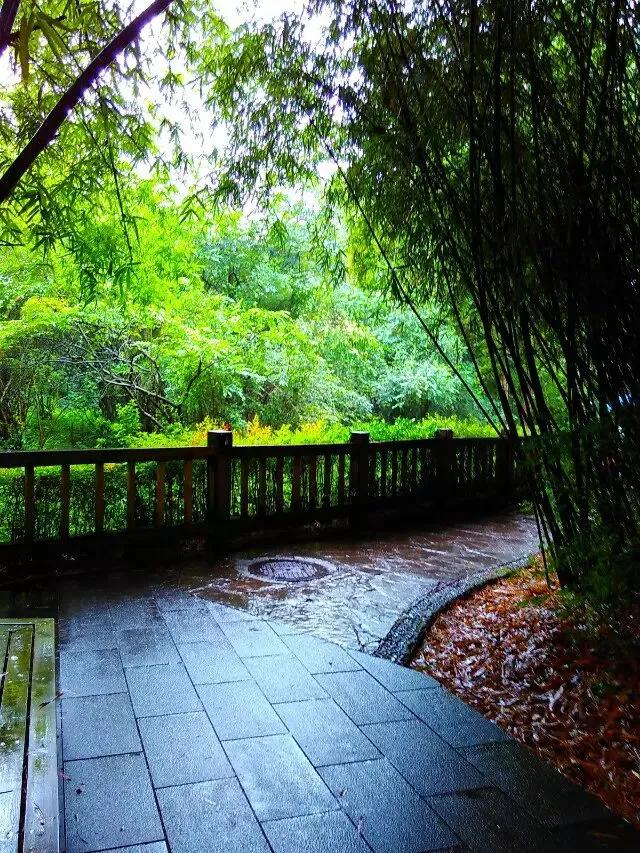 如何真正走出原生家庭的阴影,都挺好解析原生家庭矛盾