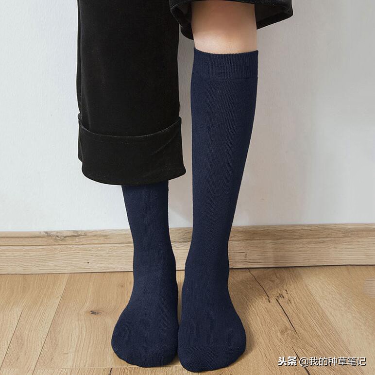 好穿又好搭潮袜,袜子也时髦让你从头潮到脚